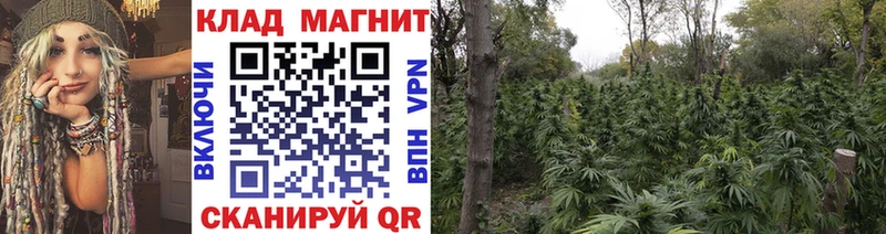 Какие есть наркотики Лебедянь Бошки Шишки  МЕФ  Кокаин  ГАШИШ 