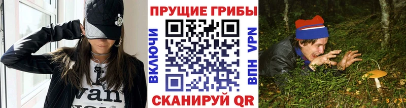 Галлюциногенные грибы Psilocybe  Лебедянь 